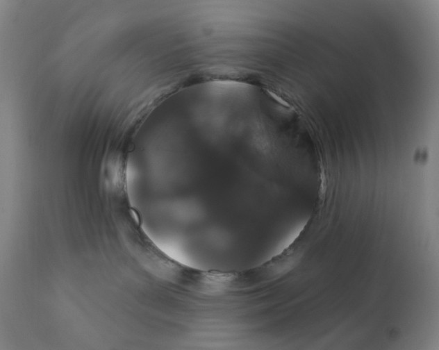 X0000112020143200908241523