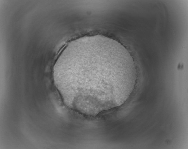 X0000112020144200908241523