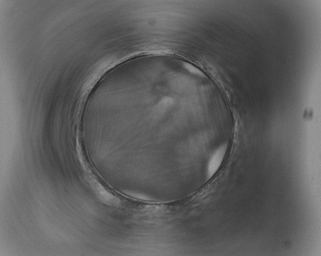 X0000112020145200908241523