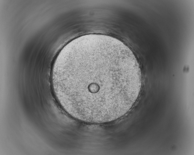 X0000112020146200908241523