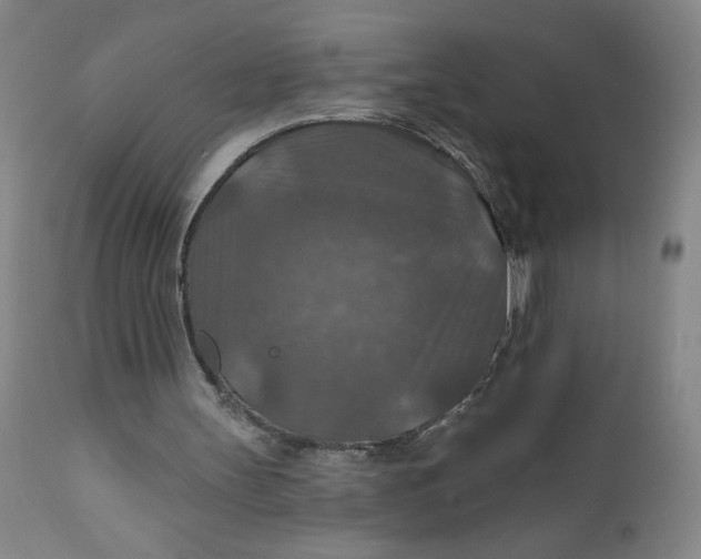 X0000112020147200908241523