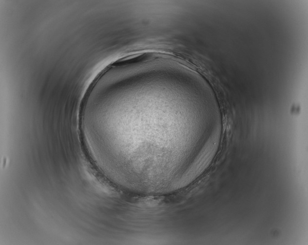 X0000112020148200908241523