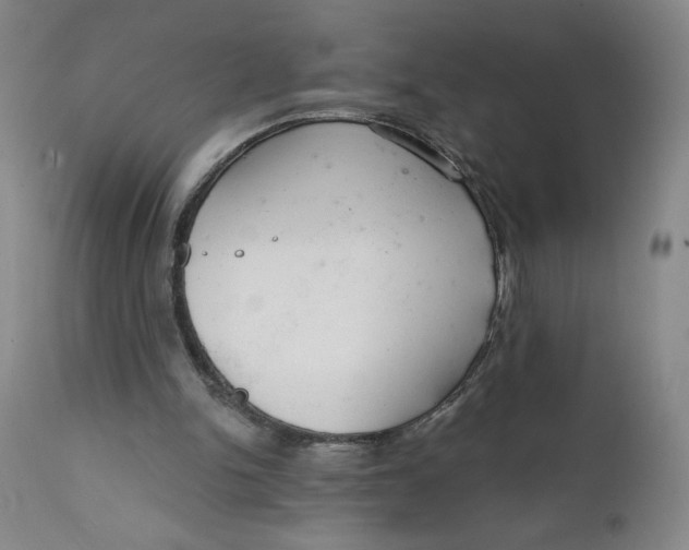 X0000112020150200908241523