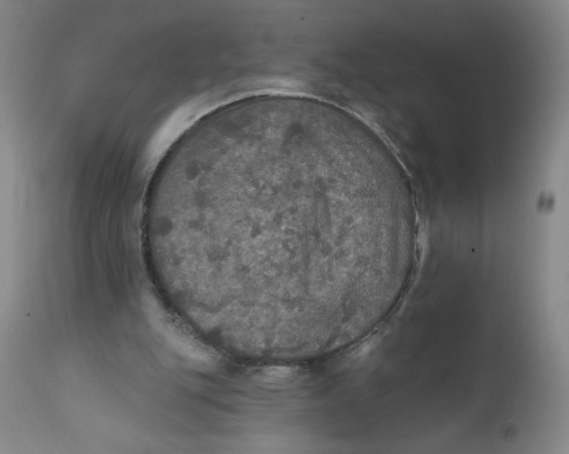 X0000112020151200908241523