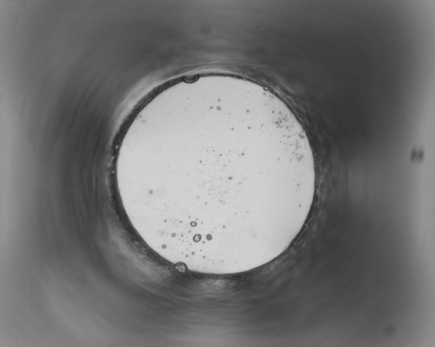 X0000112020152200908241523