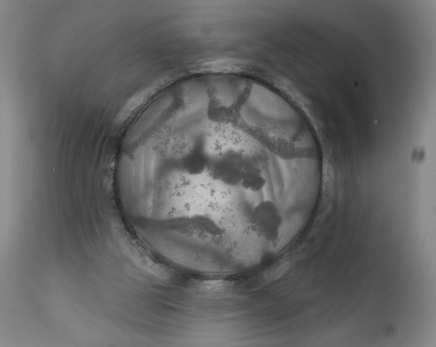 X0000112020153200908241523