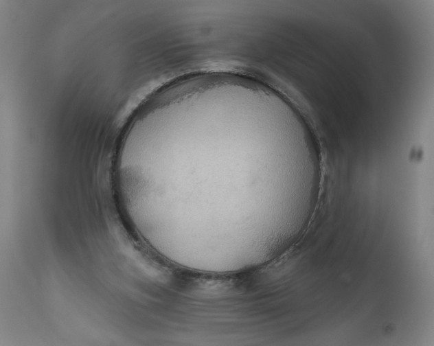 X0000112020155200908241523