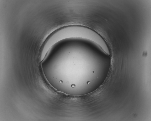 X0000112020156200908241523