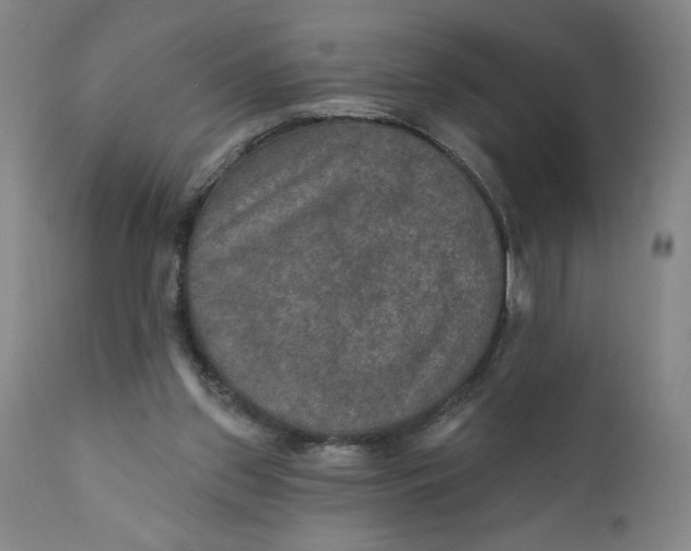 X0000112020157200908241523