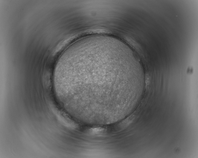 X0000112020158200908241523