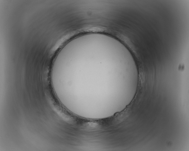 X0000112020159200908241523