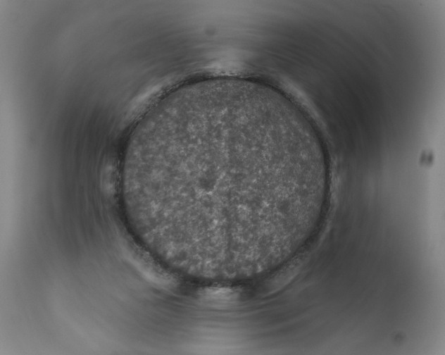 X0000112020161200908241523