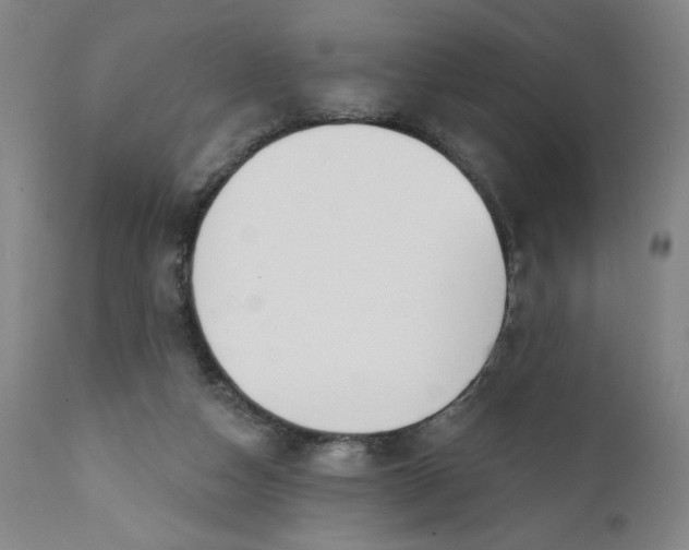 X0000112020162200908241523