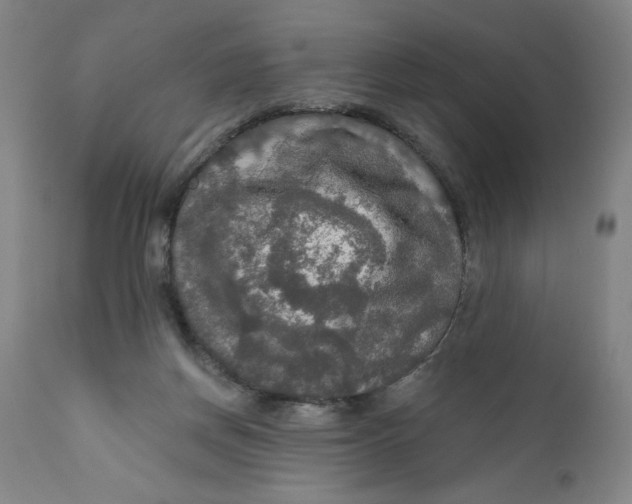 X0000112020166200908241523