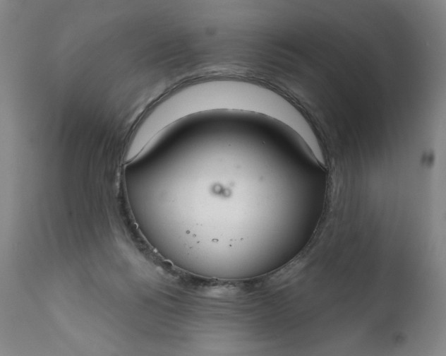 X0000112020168200908241523