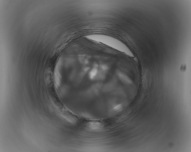 X0000112020169200908241523