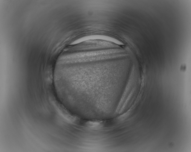 X0000112020170200908241523