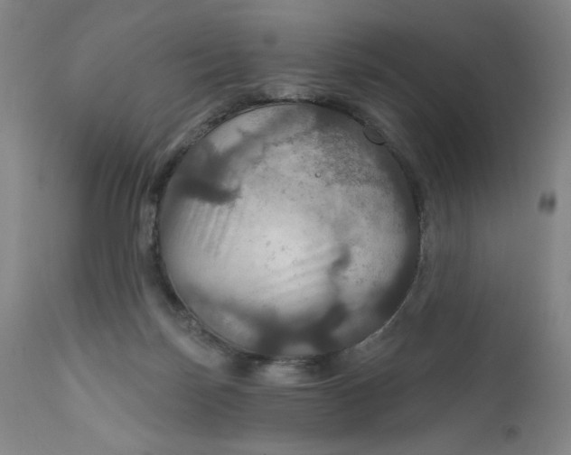 X0000112020171200908241523