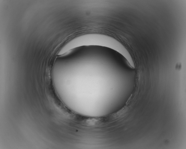 X0000112020172200908241523