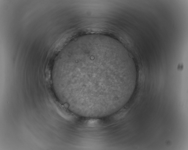 X0000112020173200908241523