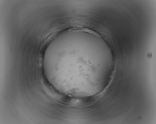 X0000112020174200908241523