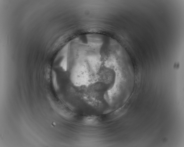 X0000112020175200908241523