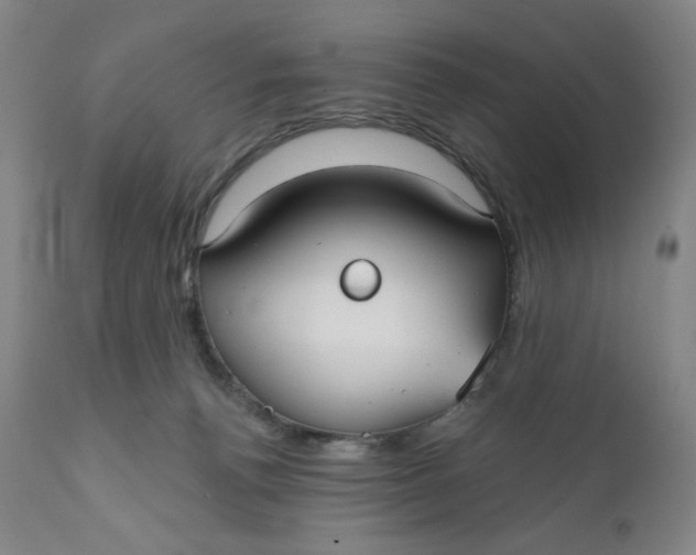 X0000112020176200908241523