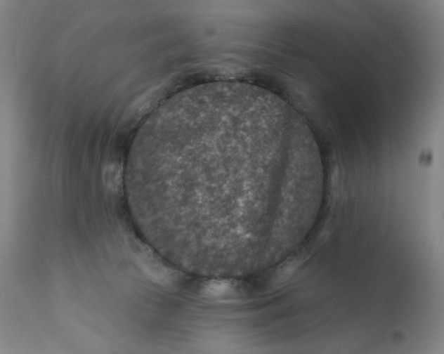 X0000112020177200908241523