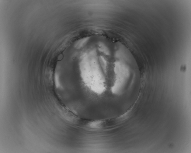 X0000112020178200908241523