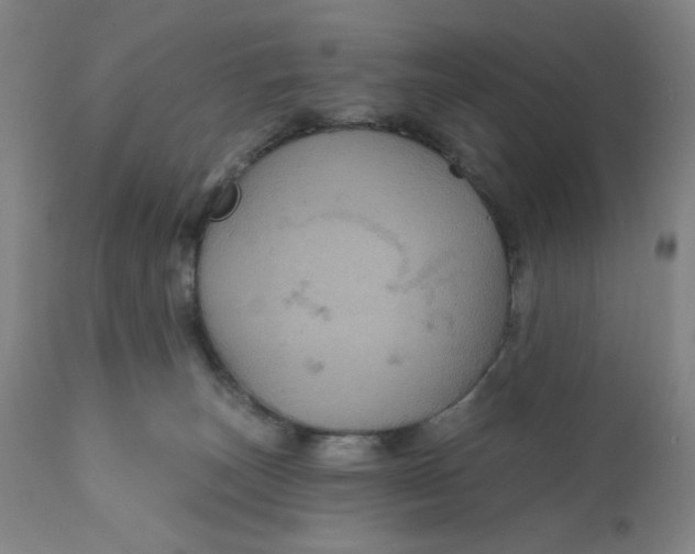 X0000112020179200908241523