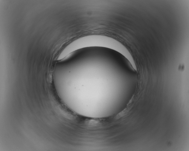 X0000112020180200908241523