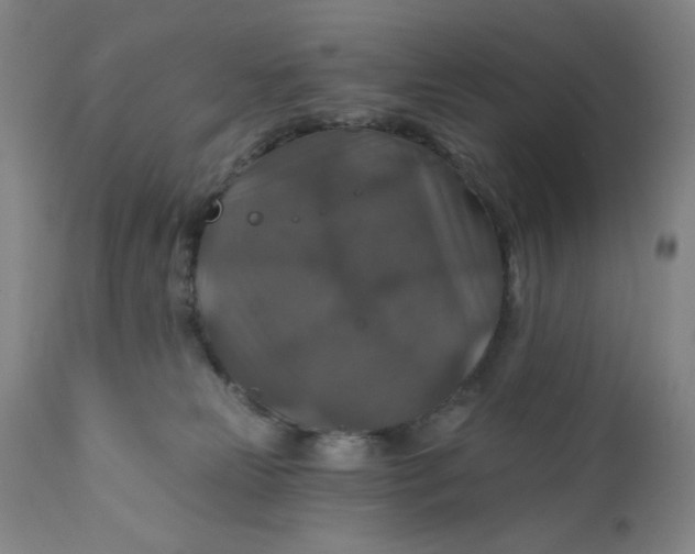 X0000112020181200908241523