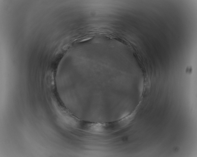 X0000112020182200908241523