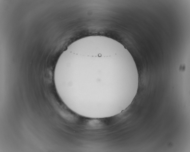 X0000112020183200908241523