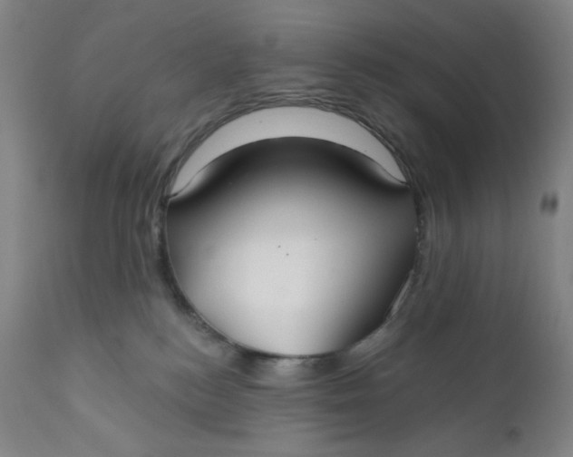 X0000112020184200908241523