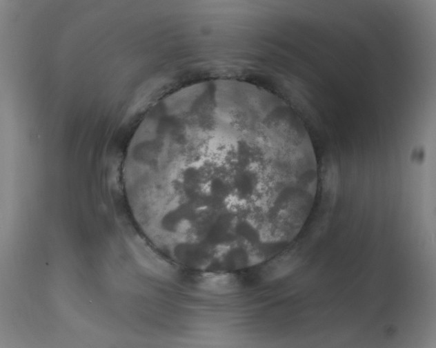 X0000112020185200908241523