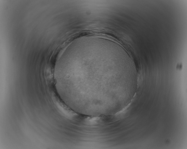 X0000112020186200908241523