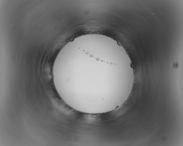 X0000112020187200908241523