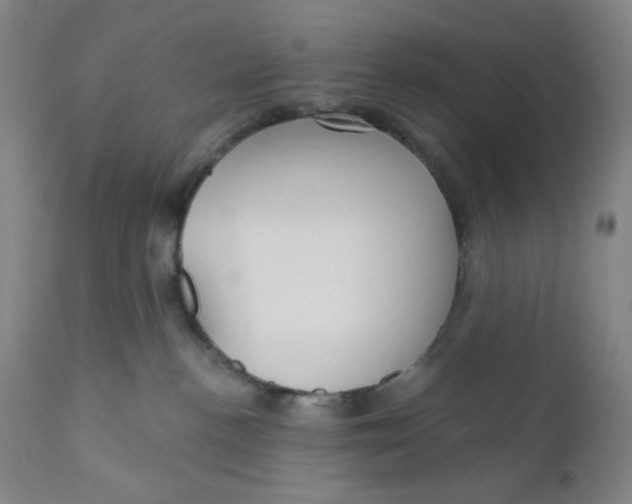 X0000112020188200908241523