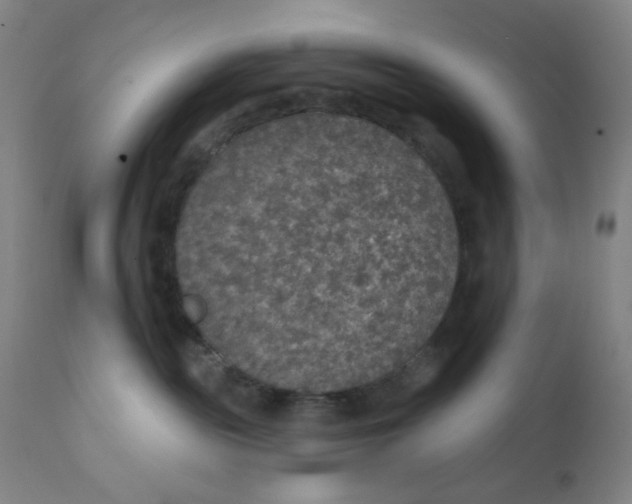 X0000112020189200908241523