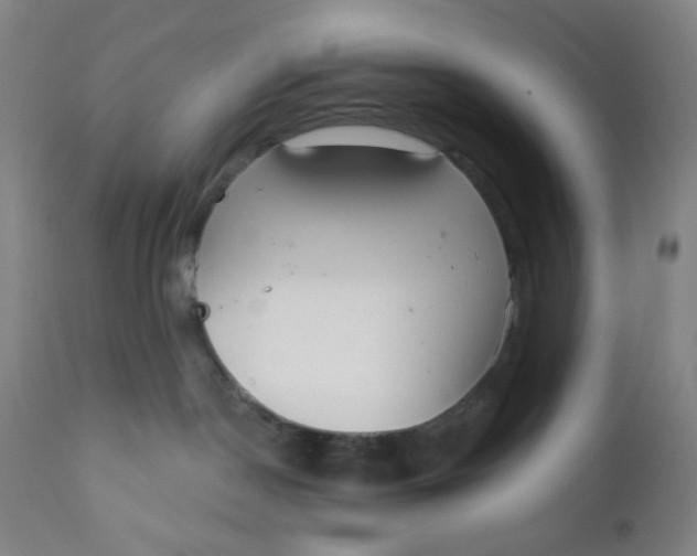 X0000112020190200908241523