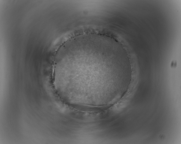 X0000112020192200908241523