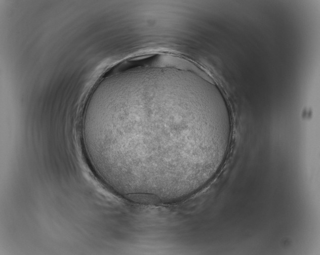 X0000112020193200908241523