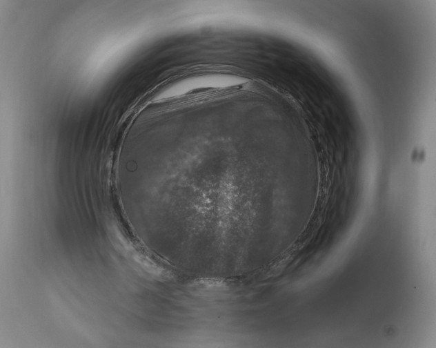 X0000112020194200908241523