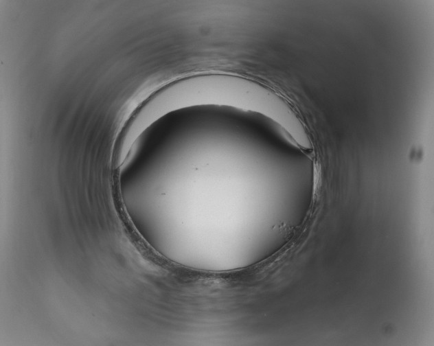 X0000112020195200908241523