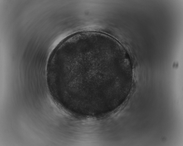 X0000112020196200908241523