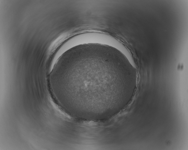 X0000112020197200908241523