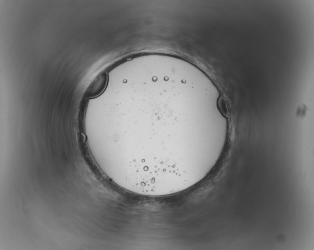 X0000112020199200908241523