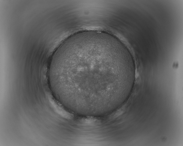 X0000112020201200908241523