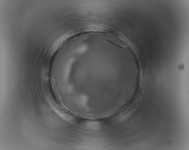 X0000112020203200908241522